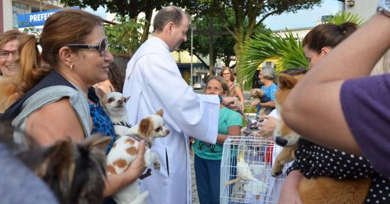 Bênção dos Animais - Festa de São Francisco 2018